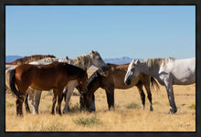 Load image into Gallery viewer, Mingle
