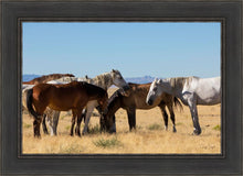 Load image into Gallery viewer, Mingle
