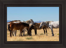 Load image into Gallery viewer, Mingle
