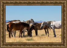 Load image into Gallery viewer, Mingle
