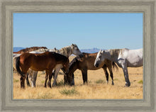 Load image into Gallery viewer, Mingle
