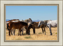 Load image into Gallery viewer, Mingle
