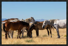 Load image into Gallery viewer, Mingle
