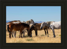 Load image into Gallery viewer, Mingle

