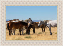 Load image into Gallery viewer, Mingle
