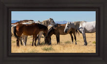 Load image into Gallery viewer, Mingle
