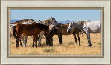 Load image into Gallery viewer, Mingle
