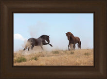 Load image into Gallery viewer, Turf War
