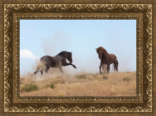 Load image into Gallery viewer, Turf War
