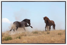 Load image into Gallery viewer, Turf War
