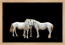Load image into Gallery viewer, Three White Horses
