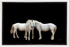 Load image into Gallery viewer, Three White Horses

