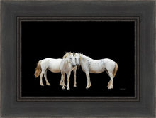 Load image into Gallery viewer, Three White Horses
