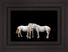 Load image into Gallery viewer, Three White Horses
