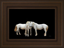 Load image into Gallery viewer, Three White Horses
