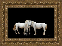 Load image into Gallery viewer, Three White Horses

