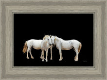 Load image into Gallery viewer, Three White Horses
