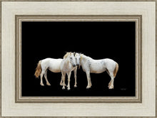Load image into Gallery viewer, Three White Horses
