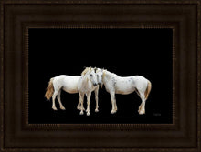 Load image into Gallery viewer, Three White Horses

