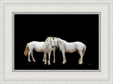 Load image into Gallery viewer, Three White Horses
