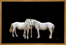 Load image into Gallery viewer, Three White Horses

