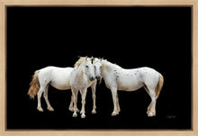 Load image into Gallery viewer, Three White Horses
