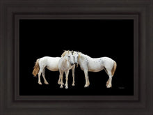 Load image into Gallery viewer, Three White Horses
