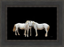 Load image into Gallery viewer, Three White Horses
