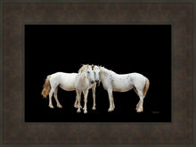 Load image into Gallery viewer, Three White Horses

