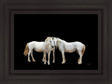 Load image into Gallery viewer, Three White Horses
