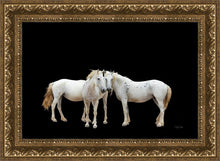 Load image into Gallery viewer, Three White Horses
