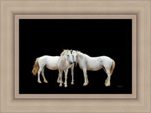 Load image into Gallery viewer, Three White Horses
