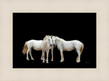 Load image into Gallery viewer, Three White Horses

