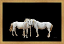 Load image into Gallery viewer, Three White Horses
