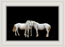 Load image into Gallery viewer, Three White Horses
