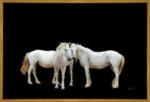 Load image into Gallery viewer, Three White Horses
