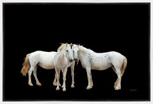 Load image into Gallery viewer, Three White Horses
