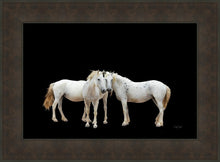 Load image into Gallery viewer, Three White Horses
