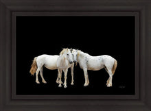 Load image into Gallery viewer, Three White Horses
