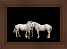 Load image into Gallery viewer, Three White Horses
