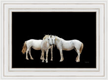 Load image into Gallery viewer, Three White Horses
