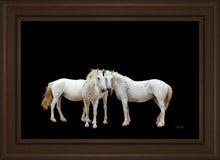 Load image into Gallery viewer, Three White Horses
