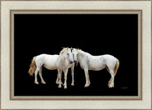 Load image into Gallery viewer, Three White Horses
