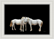 Load image into Gallery viewer, Three White Horses
