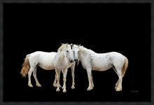 Load image into Gallery viewer, Three White Horses
