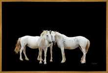 Load image into Gallery viewer, Three White Horses
