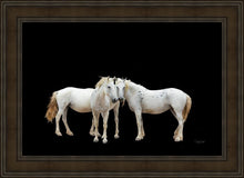 Load image into Gallery viewer, Three White Horses
