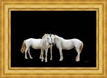 Load image into Gallery viewer, Three White Horses
