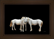Load image into Gallery viewer, Three White Horses
