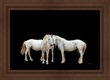 Load image into Gallery viewer, Three White Horses
